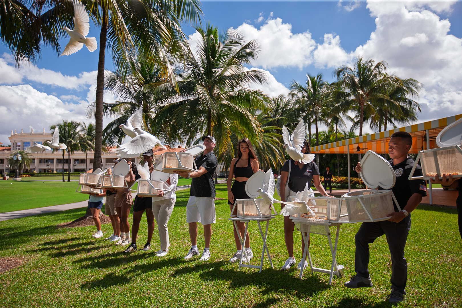 White dove release ceremony